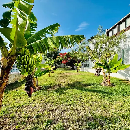 Quiet Chayofita Appartement Arona (Tenerife)